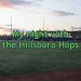 Overview of a baseball stadium from the outfield facing the grandstand with text overlaying the image that says "My night with the Hillsboro Hops."
