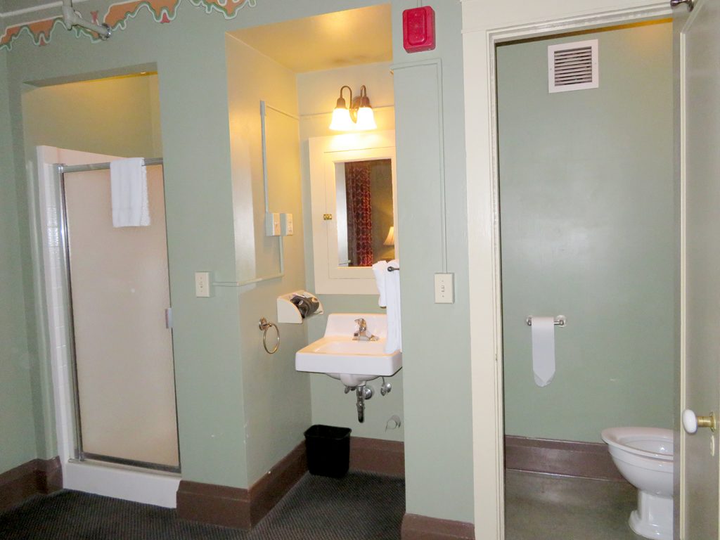 Overview of small shower, porcelain sink, and toilet.